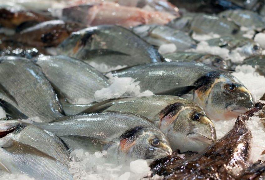 Guía para identificar y preparar pescado fresco